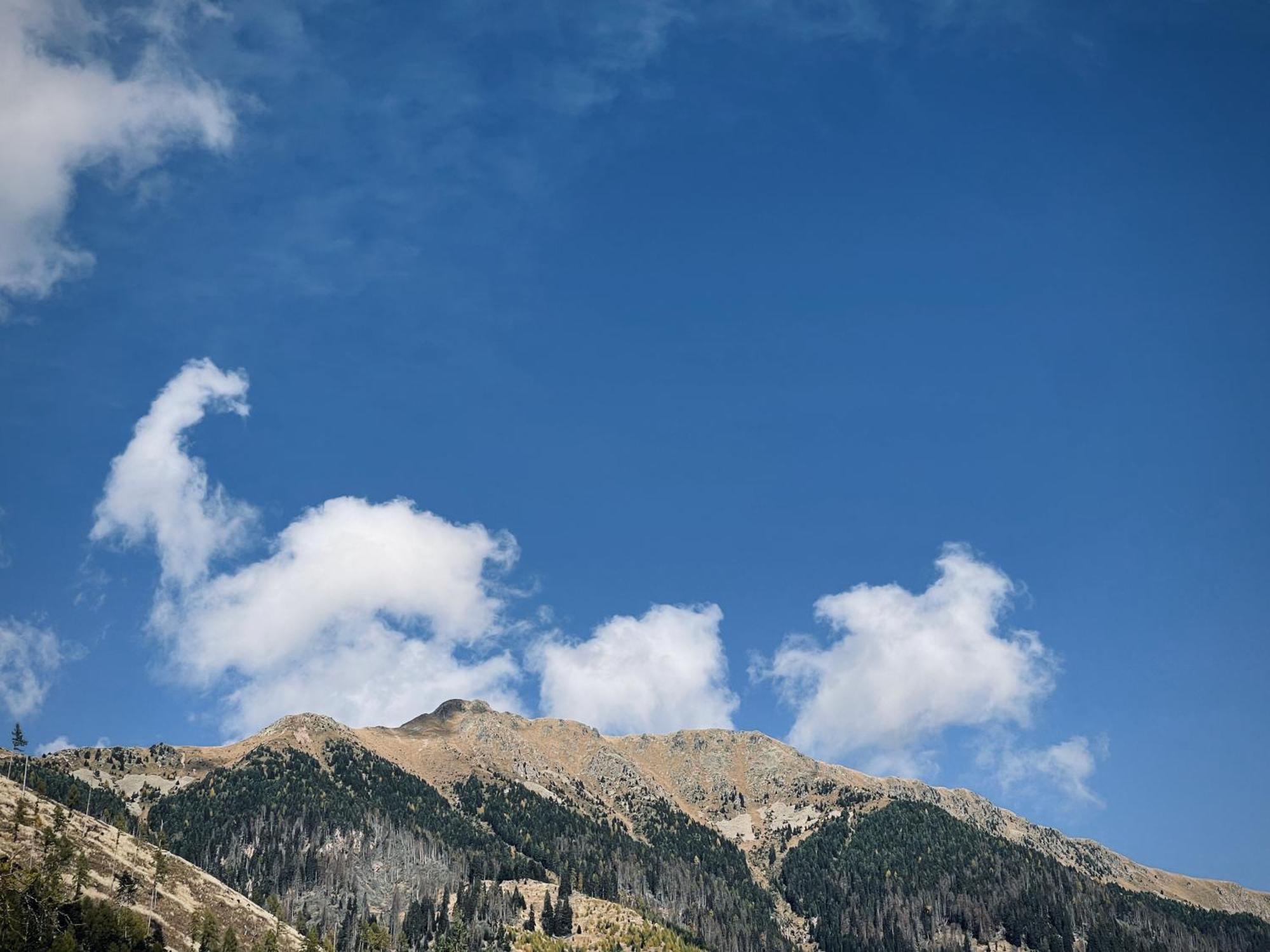 Dolomiti Haus - Immerso Nelle Dolomiti * Teser im Fleimtal