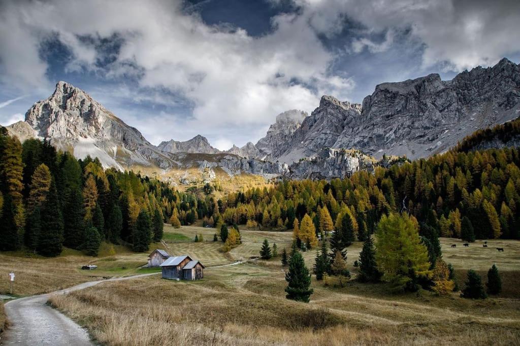 Apartment Dolomiti Haus - Immerso Nelle Dolomiti